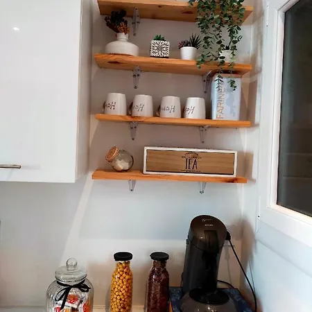 Daire T3 Proche Castillet Perpignan